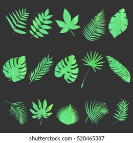 Set of multicolored, tropical watercolor leaves on a beautiful background