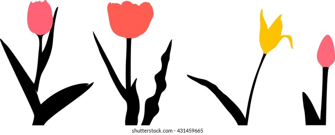 Set of Multicolored tulips. Different tulips. Set of spring flowers