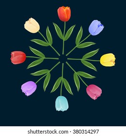 Set of multi-colored tulips. Vector illustration