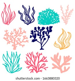 Set of multicolored vector coral and seaweed in doodle style, hand-drawn isolated on white background. Design elements on the marine and underwater theme in pink, blue, turquoise and yellow.