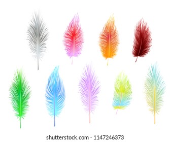 set of multi-colored vector feathers isolated on white background