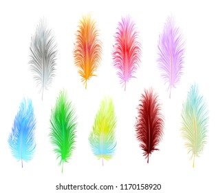 set of multi-colored vector feathers isolated on white background