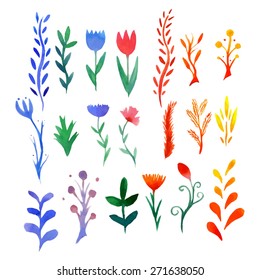 Set of multicolored watercolor flowers