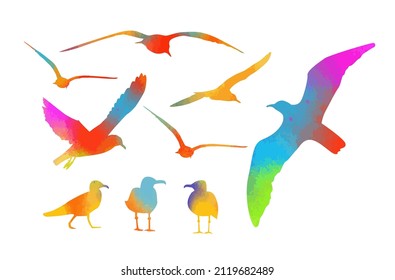 Set of multicolored watercolor sea gulls. Vector illustration