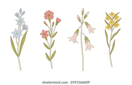 Set of multicolored wildflowers. Blooming perennial wild plants. Botanical hand-drawn elements for design projects. Vector illustration