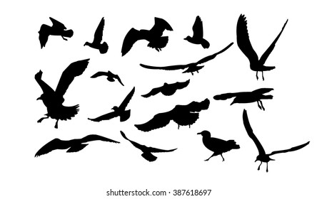 Set of multiform flying seagulls.