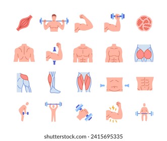 Conjunto de iconos de color de músculos. Señal brillante con los atletas en entrenamiento. Gluteus, biceps, cuádriceps, abs y latissimus dorsi. Formación y deporte. Colección vectorial plana de dibujos animados aislada en fondo blanco