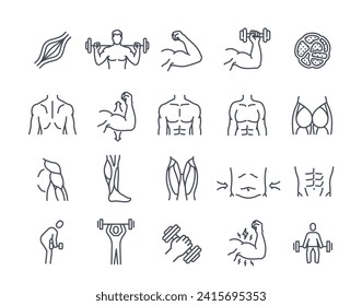 Conjunto de iconos de línea de músculos. Partes del cuerpo humano, tejido muscular, bíceps, cuatriciclos, deltoides y terneros. Construcción de cuerpos, entrenamiento y ejercicios. Esquema de colección de vector simple aislada en fondo blanco
