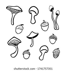 Set mushroom and acorns in doodle style. Autumn theme. Vector illustration on isolated white background.