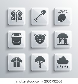 Set Mushroom, Cloud with rain, African hut, Tiger head, Shirt, Hiking backpack, Butterfly and Lemon icon. Vector