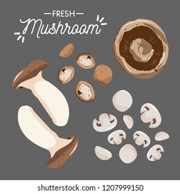 set of mushroom collection 