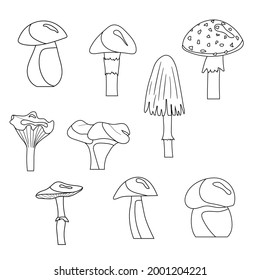 A set of mushroom coloring pages. Vector isolated on a white background.