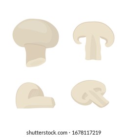 Set mushroom, different size champignon. Mushroom champignon.