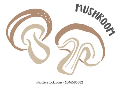 Set of mushroom drawing hand painted with ink brush isolated on white background. Vector illustration