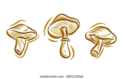 Set of Mushroom Hand Drawing Illustration doodle for branding logo background element