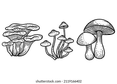 Set Mushroom healthy food engraved Hand Drawn Outline illustration