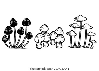 Set Mushroom healthy food engraved Hand Drawn Outline illustration