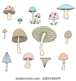 Set Mushroom healthy food engraved Hand Drawn Outline illustration