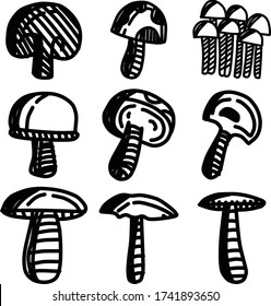 A Set of mushroom icons suitable for food and nature content with doodle cartoon style