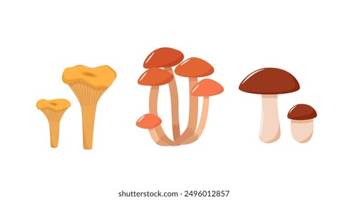 Set of mushroom icons vector. Illustration of boletus, chanterelles, honey mushrooms, aspen mushroom and russula.