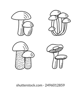 Set of mushroom icons vector. Illustration of boletus, chanterelles, honey mushrooms, champignons, aspen mushroom and russula.