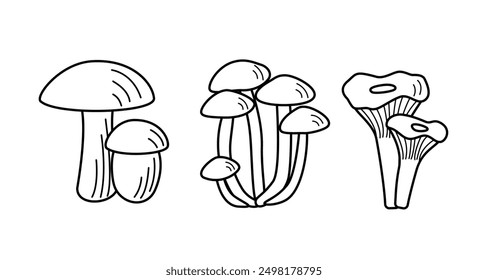 Set of mushroom icons vector. Illustration of boletus, chanterelles, honey mushrooms, champignons, aspen mushroom and russula.