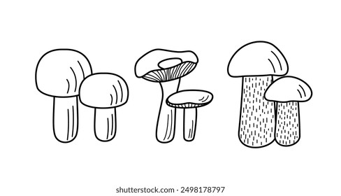 Set of mushroom icons vector. Illustration of boletus, chanterelles, honey mushrooms, champignons, aspen mushroom and russula.