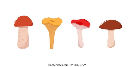 Set of mushroom icons vector. Illustration of boletus, chanterelles, honey mushrooms, aspen mushroom and russula.