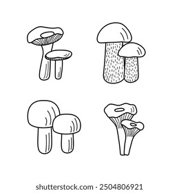 Set of mushroom icons vector. Illustration of boletus, chanterelles, honey mushrooms, champignons, aspen mushroom and russula.