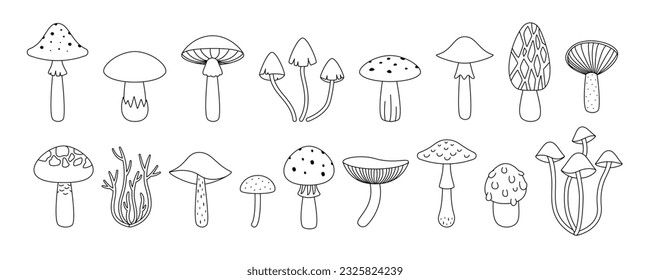 Set mushroom isolated on a white background. Vector illustration in outline style. For cards, logo, decorations, invitations, boho designs.