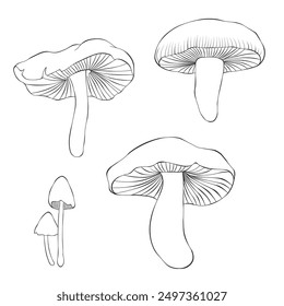Set mushroom isolated on a white background. Vector illustration in outline style.