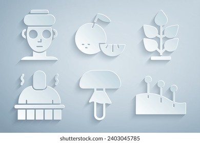 Set Mushroom, Plant, Sauna and spa procedures, Acupuncture therapy, Citrus fruit and Facial cosmetic mask icon. Vector