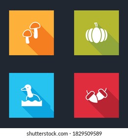 Set Mushroom, Pumpkin, Flying duck and Acorn icon. Vector.