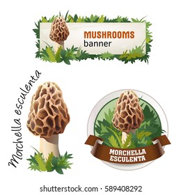 Set of mushroom vector banner, badge, sticker, icon with morel mushroom