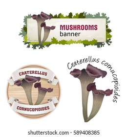 Set of mushroom vector banner, badge, sticker, icon with craterellus cornucopioides