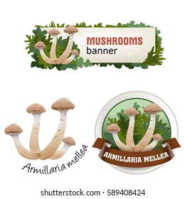Set of mushroom vector banner, badge, sticker, icon with honey mushrooms