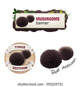 Set of mushroom vector banner, badge, sticker, icon with truffle