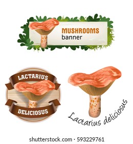 Set of mushroom vector banner, badge, sticker, icon with milk mushroom
