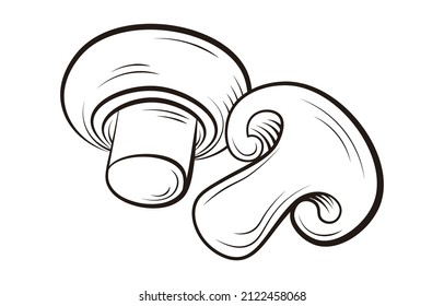 a set of Mushroom vector illustration