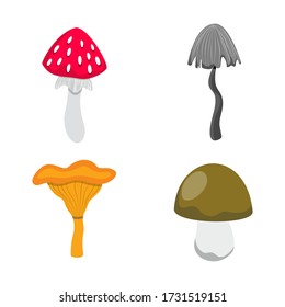 Set of mushrooms. Amanita, chanterelle, toadstool, porcini. Fungi icons. Edible and inedible.