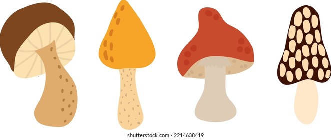 Set of mushrooms. Autumn hand drawn big vector. Organic vegetarian product. Great for menu, label, product packaging, recipe. 