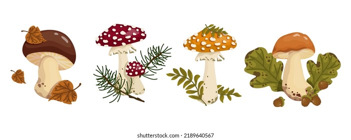 Set of mushrooms with autumn leaves, acorns, spruce branches. Cartoon vector graphics.