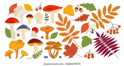 set of mushrooms and autumn leaves in flat cartoon style isolated on white background. stock vector illustration. EPS 10