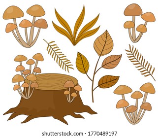 Set mushrooms autumn leaves vector illustration