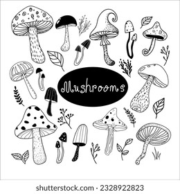 Set mushrooms, autumn vector illustration, doodle. For design, background, pattern