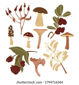 
Set of mushrooms and berries in a retro style. Autumn theme for the design of invitations. Achromatic colors are brown and green. Vector flat design illustration.