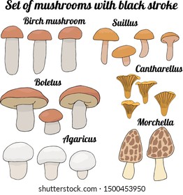 Set of mushrooms with black stroke vector illustration
