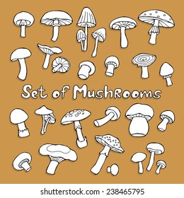 Set Mushrooms Black & White