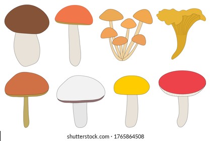 Set of mushrooms brown boletus chanterelle mushrooms mushrooms champignon russula vector illustrations in flat design