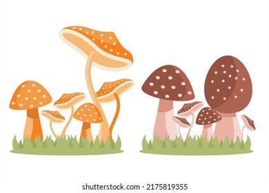 Set of mushrooms. Collection of different mushrooms. Mushrooms vector illustration